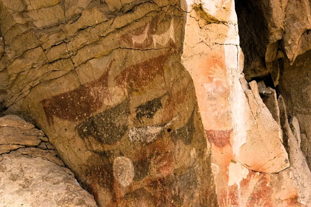 Imagen de WhatsApp 2024-12-06 a las 09.32.10_ff90316c