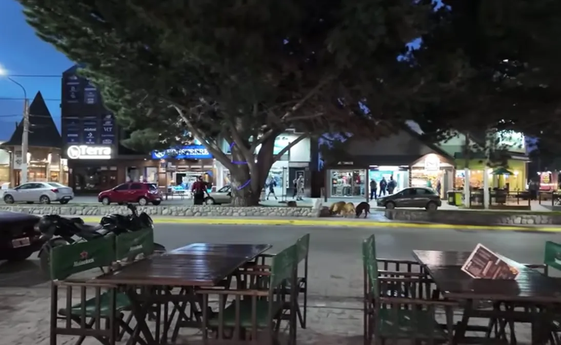 Captura de pantalla 2025-11-13 165753