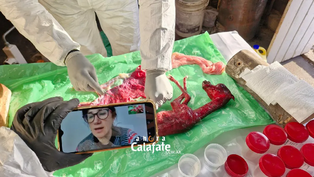 IMG-20250503-WA0021~1