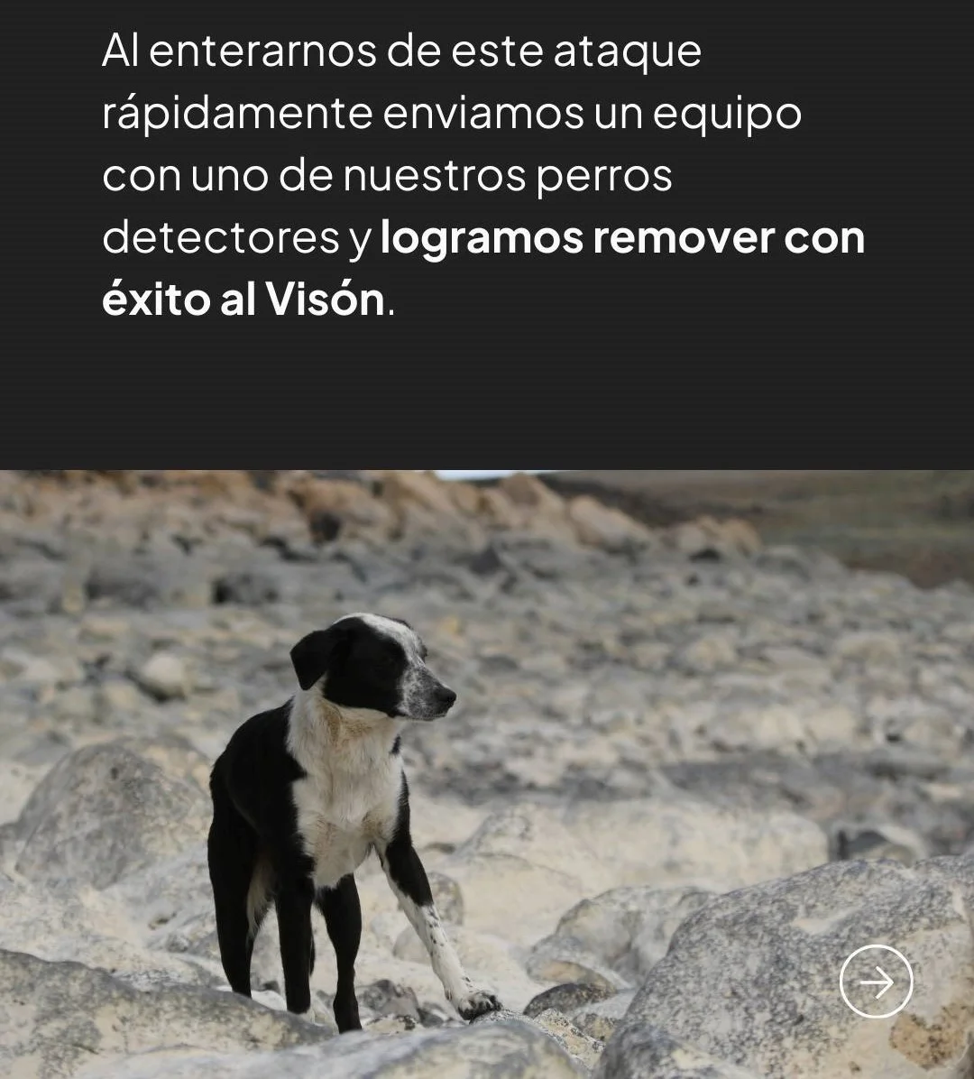 642214949_1338891524942129_8945976050056591866_n