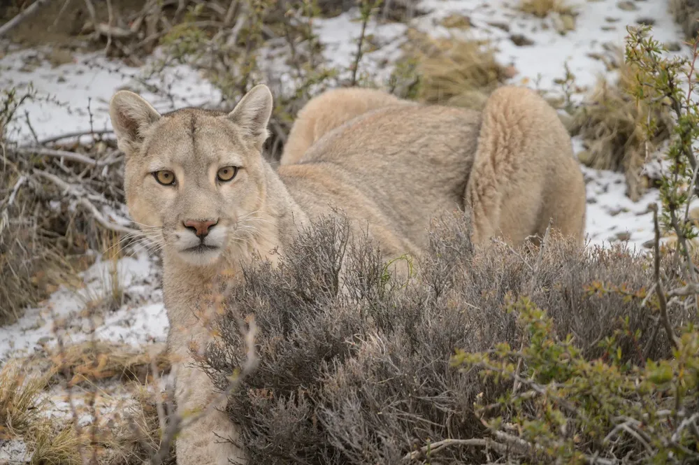 WhatsApp Image 2023-08-29 at 17.45.45