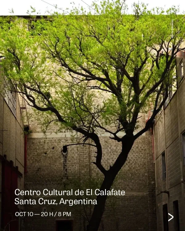 WhatsApp Image 2025-10-09 at 09.36.17