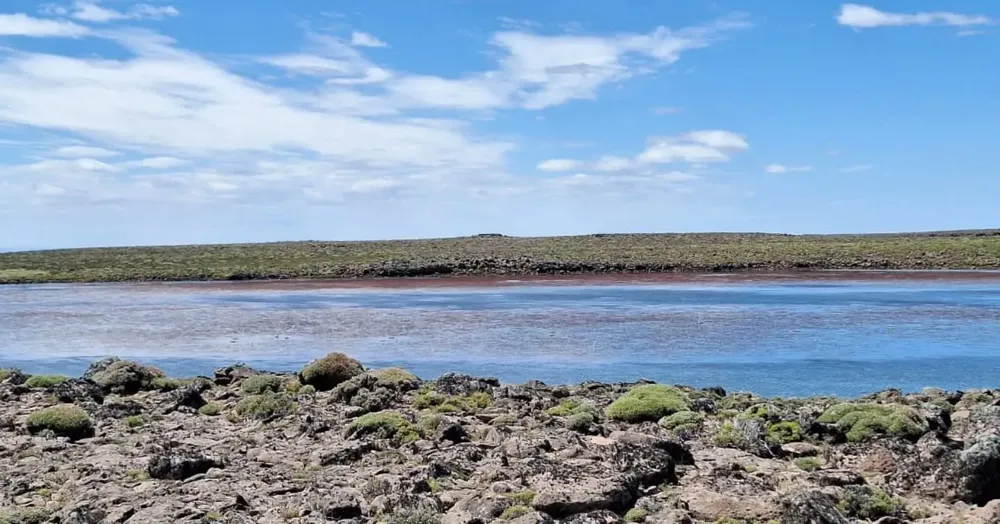 590421818_18089718323505372_7298109417844053991_n