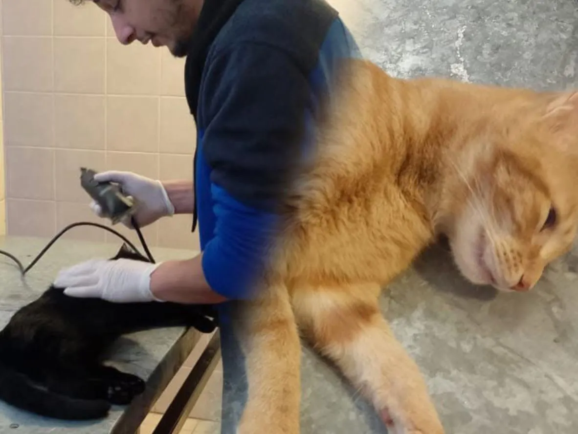 WhatsApp Image 2025-07-24 at 13.07.14