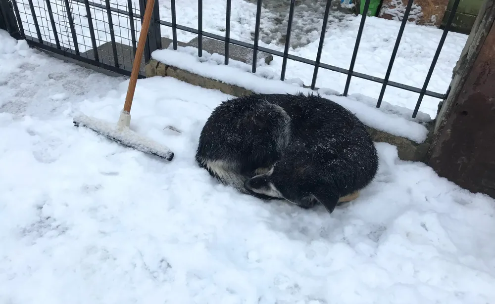 WhatsApp Image 2024-06-21 at 22.59.31