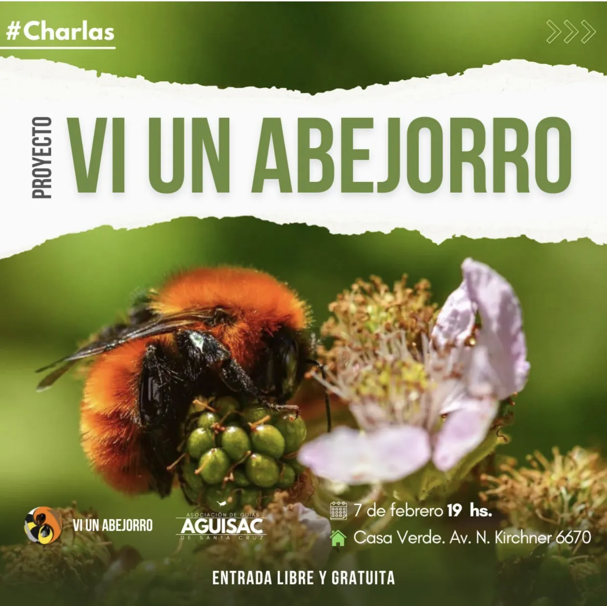 20BCF16E-CDC3-40CE-8D0E-4B9E0CE42DAA