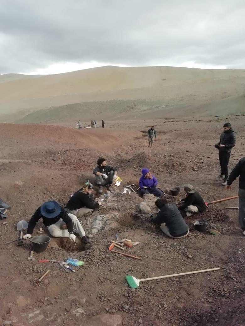 Yacimiento Anita - Fernando Novas