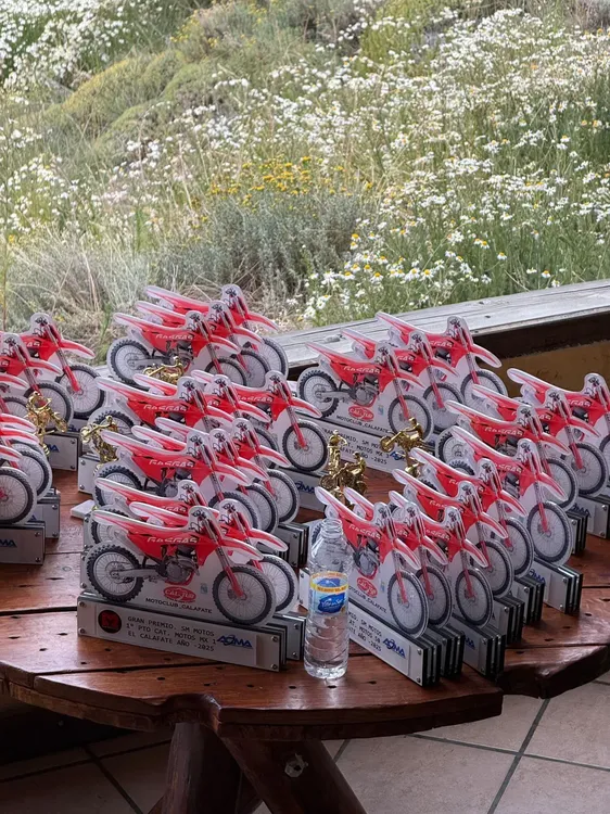 Imagen de WhatsApp 2025-01-26 a las 22.59.04_2f3e0469