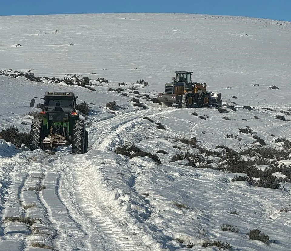 whatsapp_image_2024-07-11_at_16.39.42