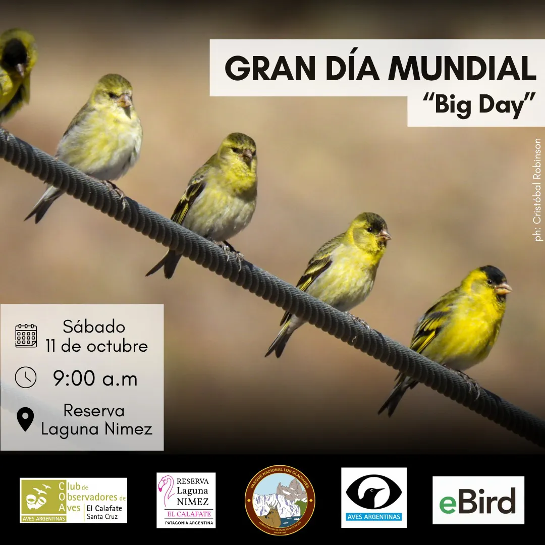 562686003_17989310879850007_2128147171841529341_n