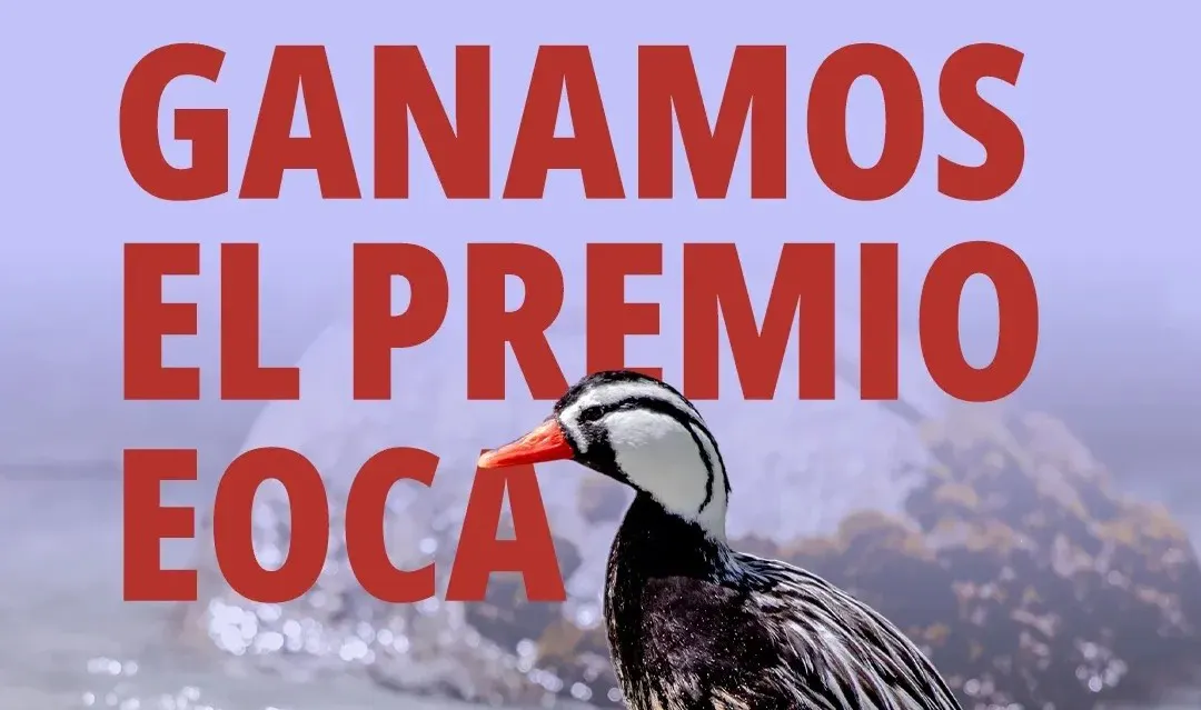 Premio EOCA