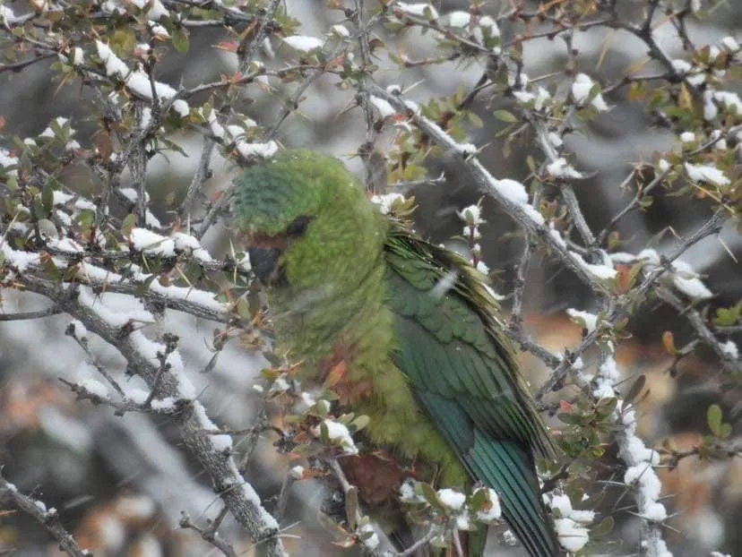 FA5FEA4B-A9DA-4E4B-B187-95BA6476CF2C