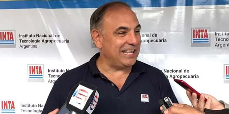 ariel-pereda-750x375