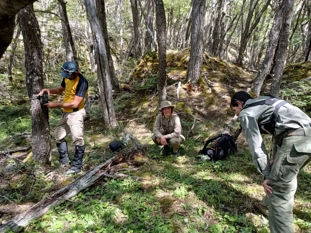 24_02_huemul_burmeister_02