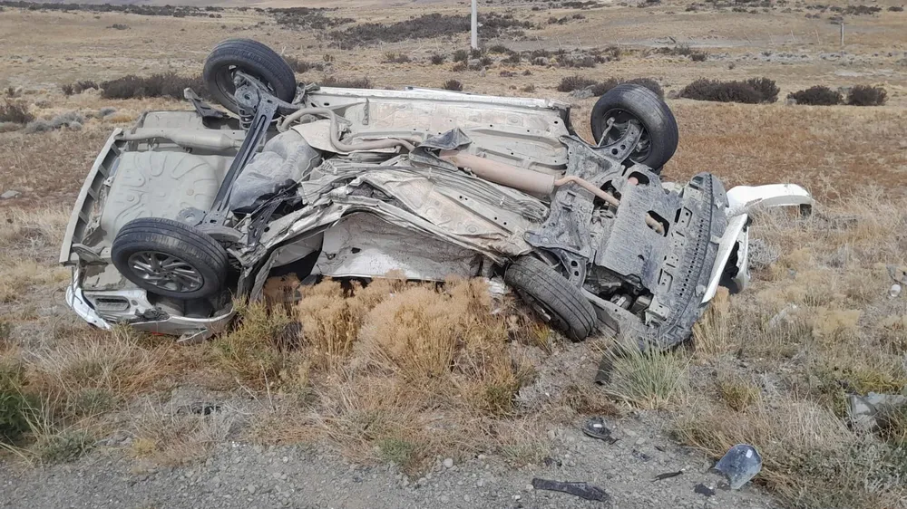 WhatsApp Image 2026-03-08 at 16.09.35