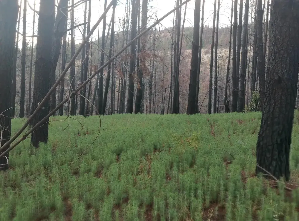 616379926_1370355021784937_7541567637415282318_n