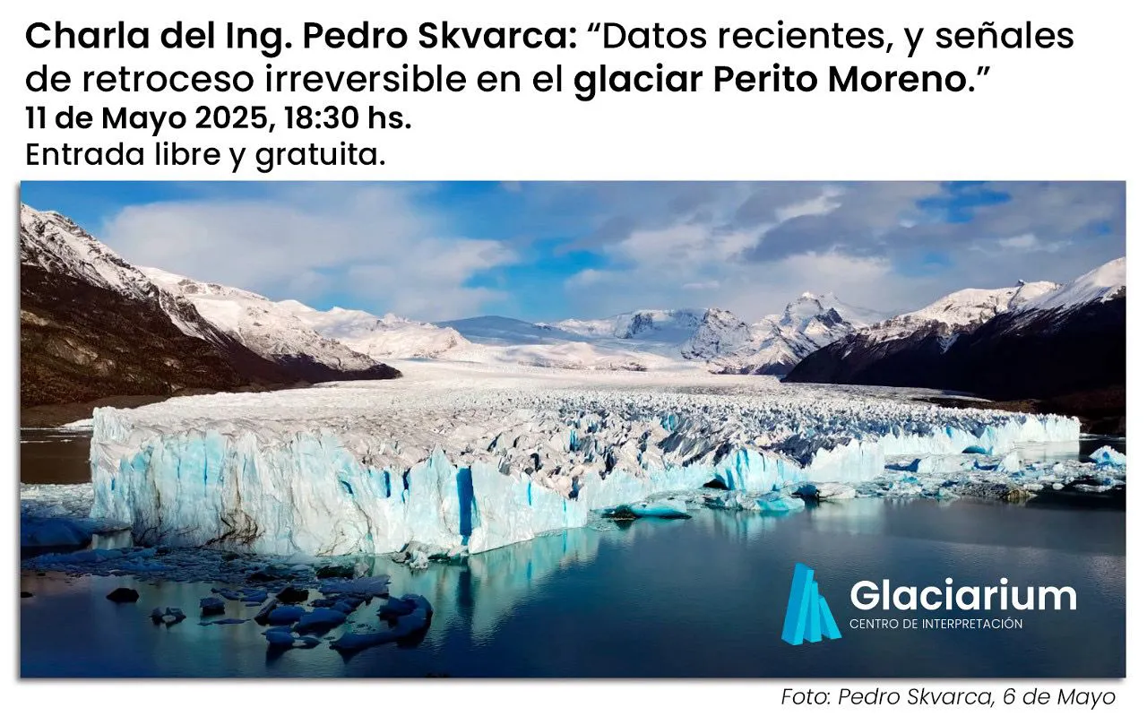 WhatsApp Image 2025-05-08 at 07.25.34