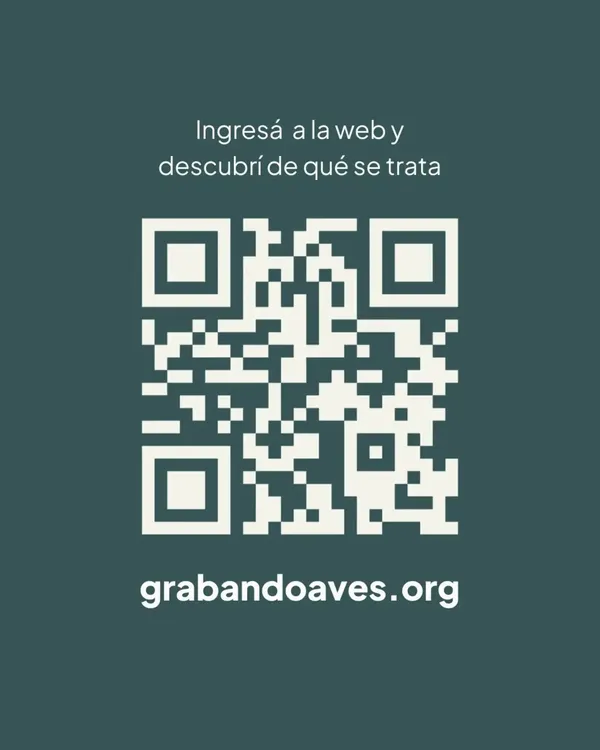 612120937_18093959441505372_8459876901211226624_n