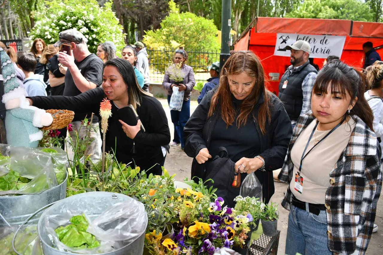 WhatsApp Image 2025-12-05 at 16.13.25