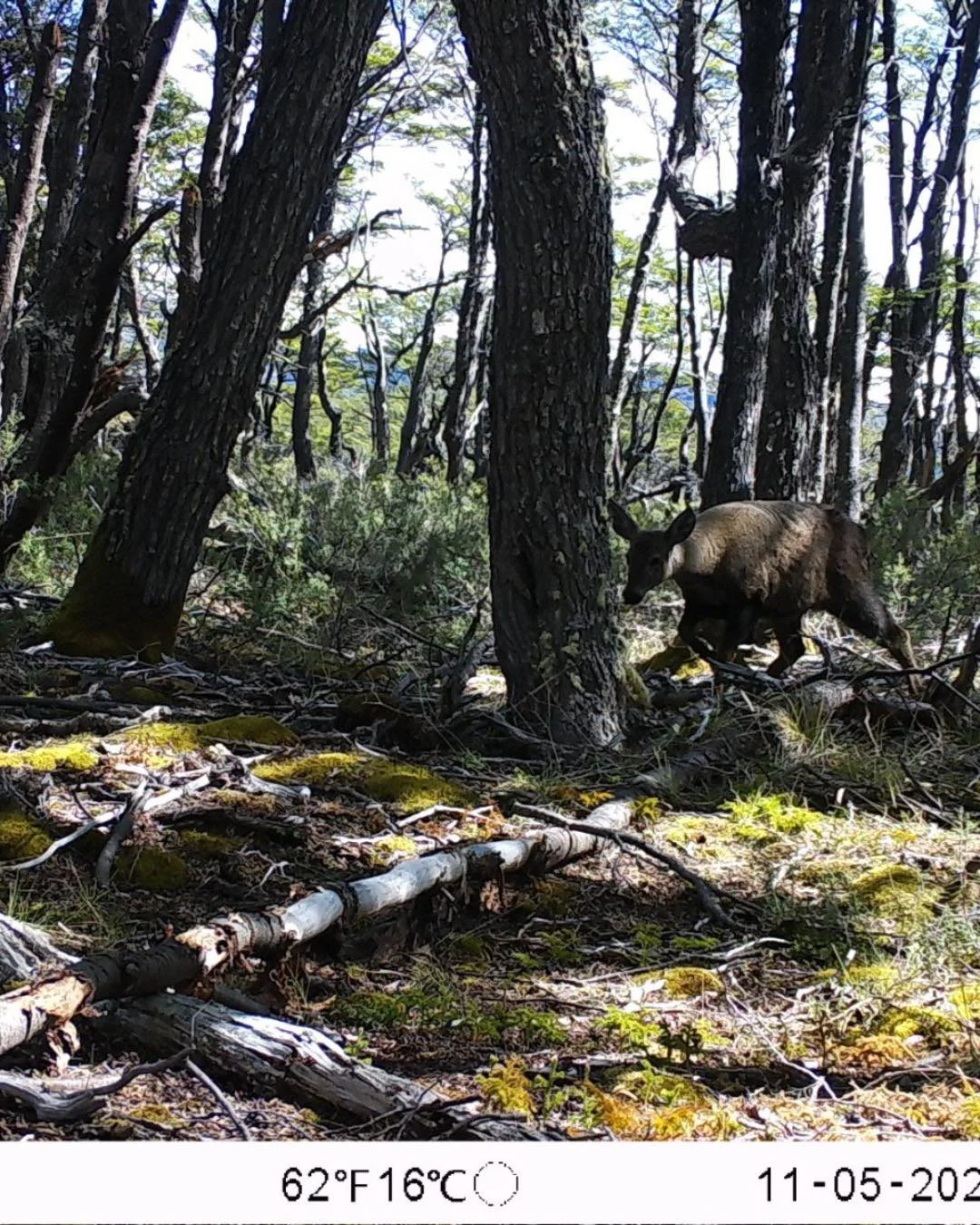 654471998_1254203830186768_2010568965113279422_n