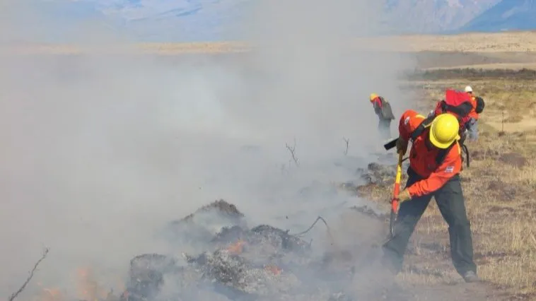 incednios forestales