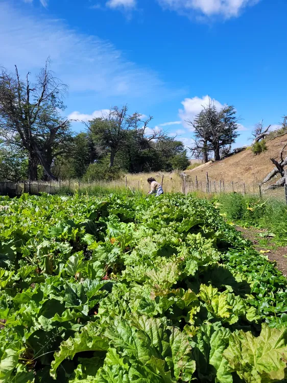 33E30DDE-F7BB-4D96-B684-A112807BC6DE