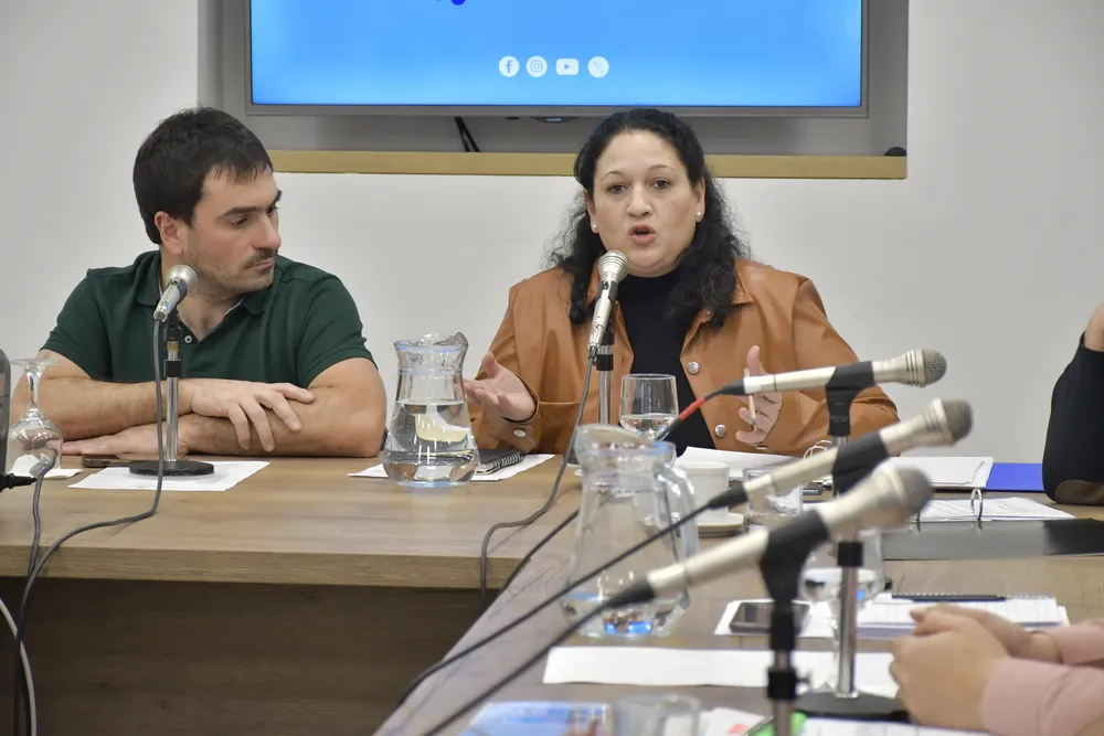 Los diputados Santiago Aberastain y Fabiola Loreiro (Por Santa Cruz)