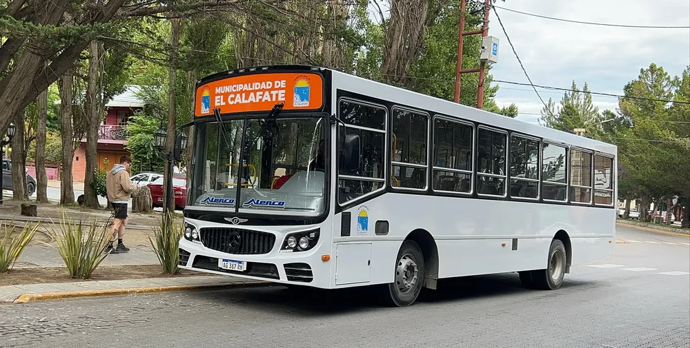 colectivo nuevo2