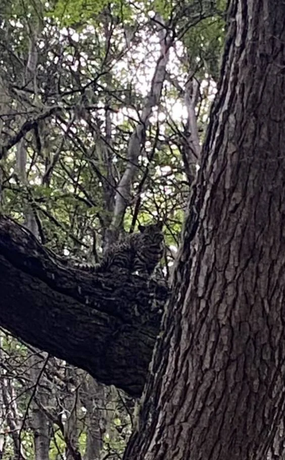 642794349_1349842650506696_2480106744313140562_n