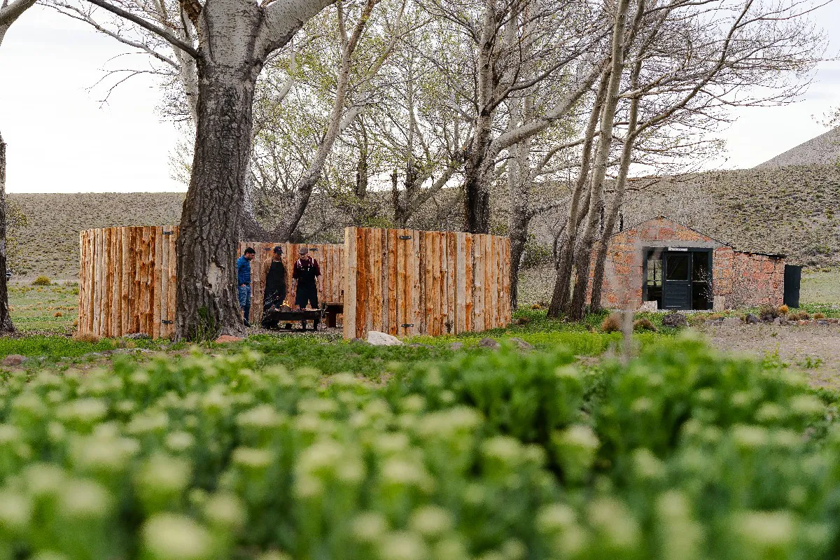 La posta - Noviembre 2023 - Gustavo Calfin-19~1