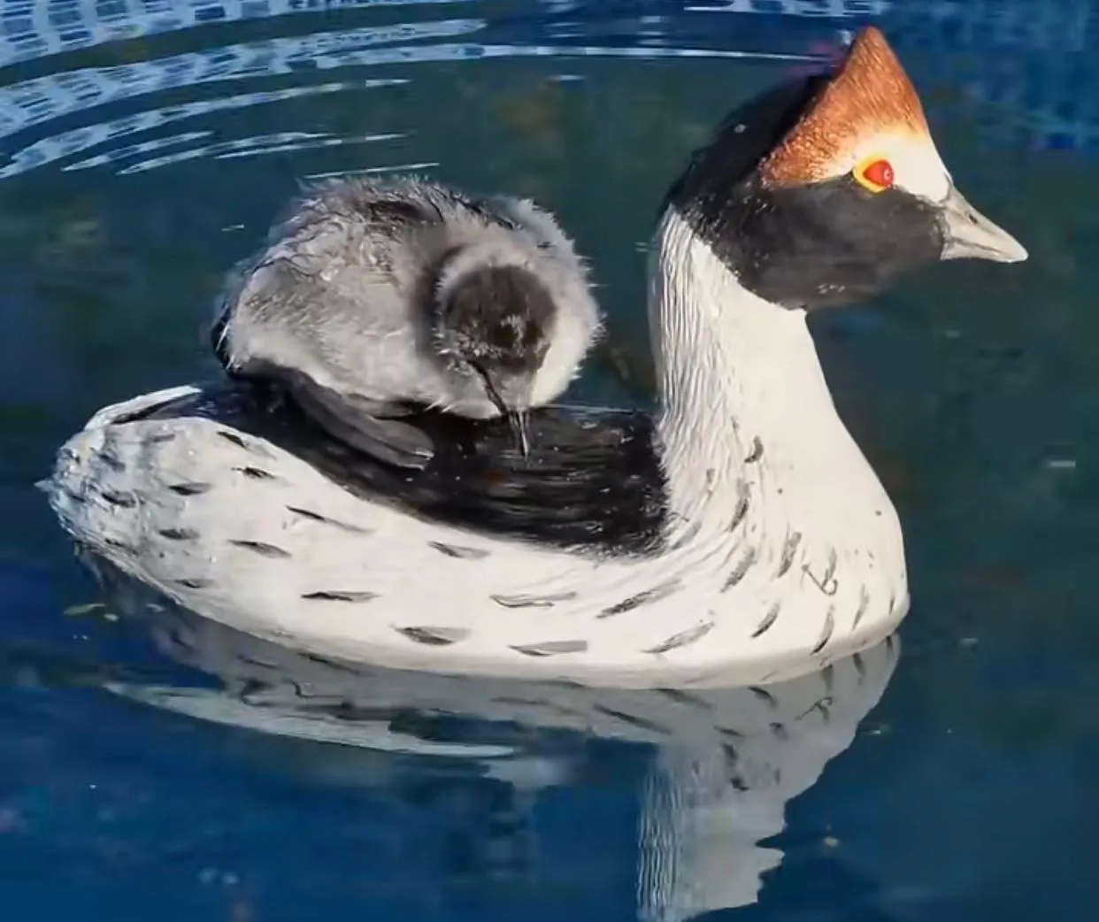 WhatsApp Image 2025-04-06 at 13.36.02