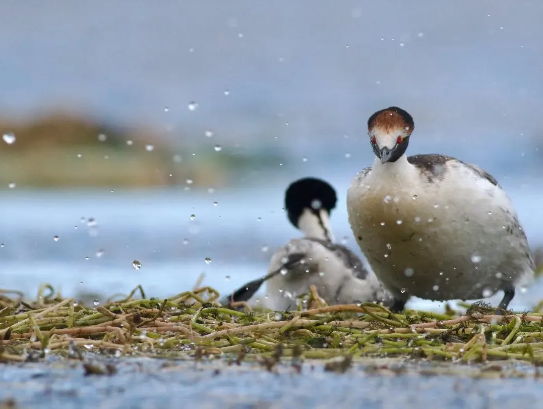 590413487_18090186719505372_739539184478777312_n