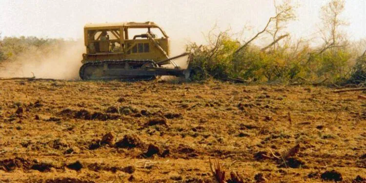 tala-de-bosques-750x375