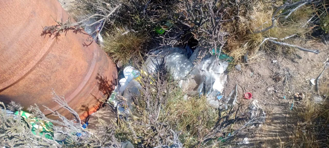 WhatsApp Image 2026-01-21 at 22.28.30