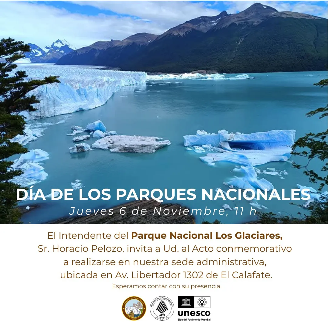 WhatsApp Image 2025-11-04 at 13.47.22