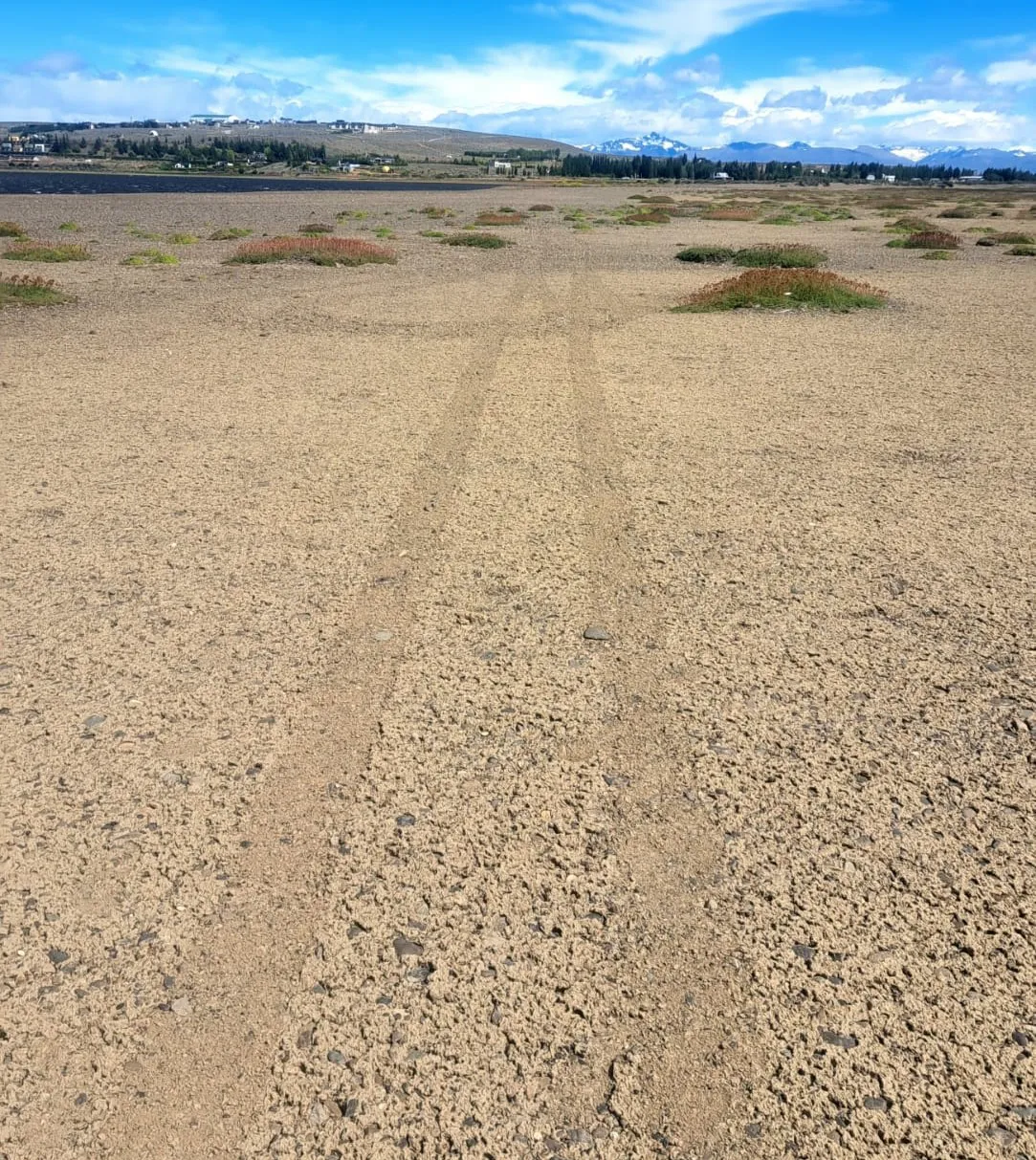 WhatsApp Image 2025-12-16 at 12.25.22