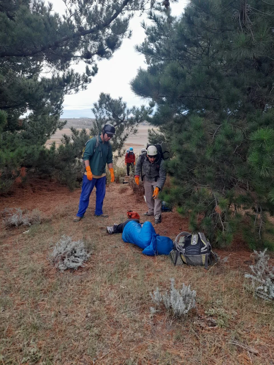 WhatsApp Image 2026-04-05 at 19.55.29 (2)