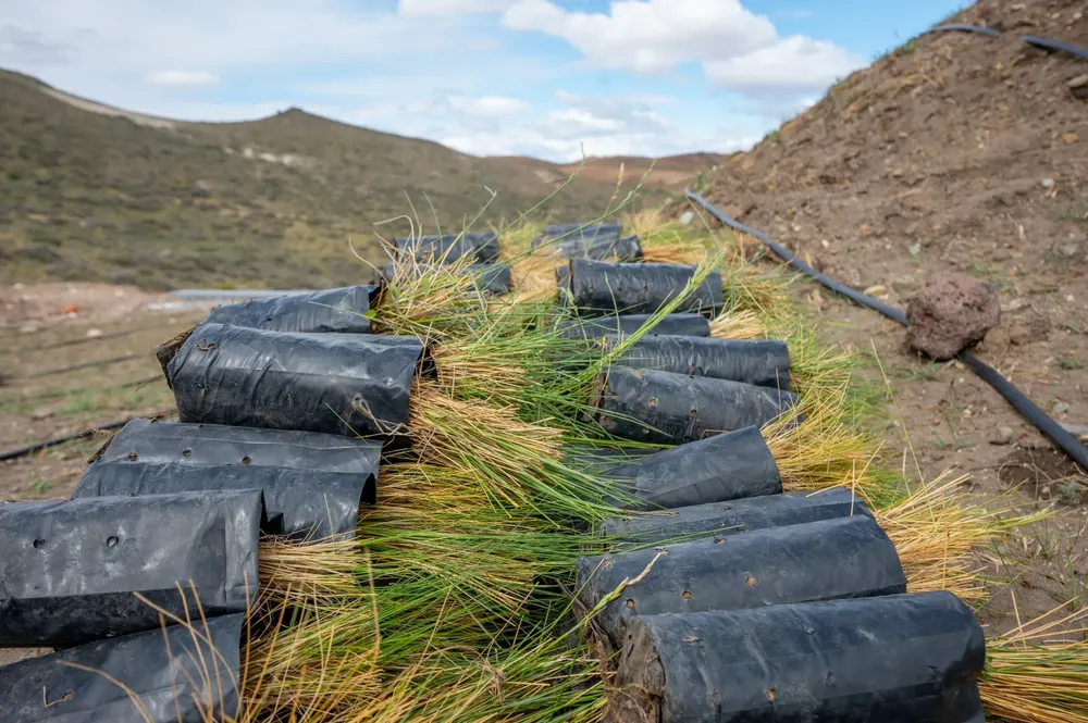 WhatsApp Image 2023-12-11 at 09.10.37 (2)