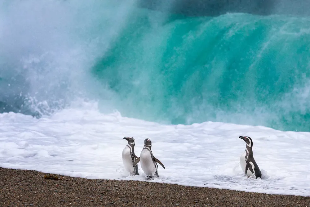 bd265dab-b418-4f42-8690-4ddf9b330566