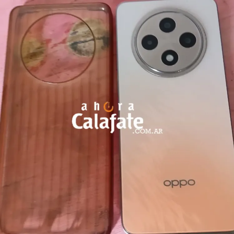 Arma secuestrada Celular AC