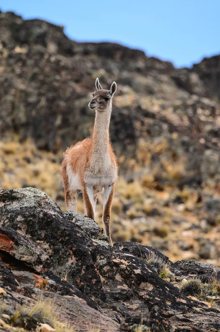 WhatsApp Image 2023-12-01 at 10.03.47 (1)