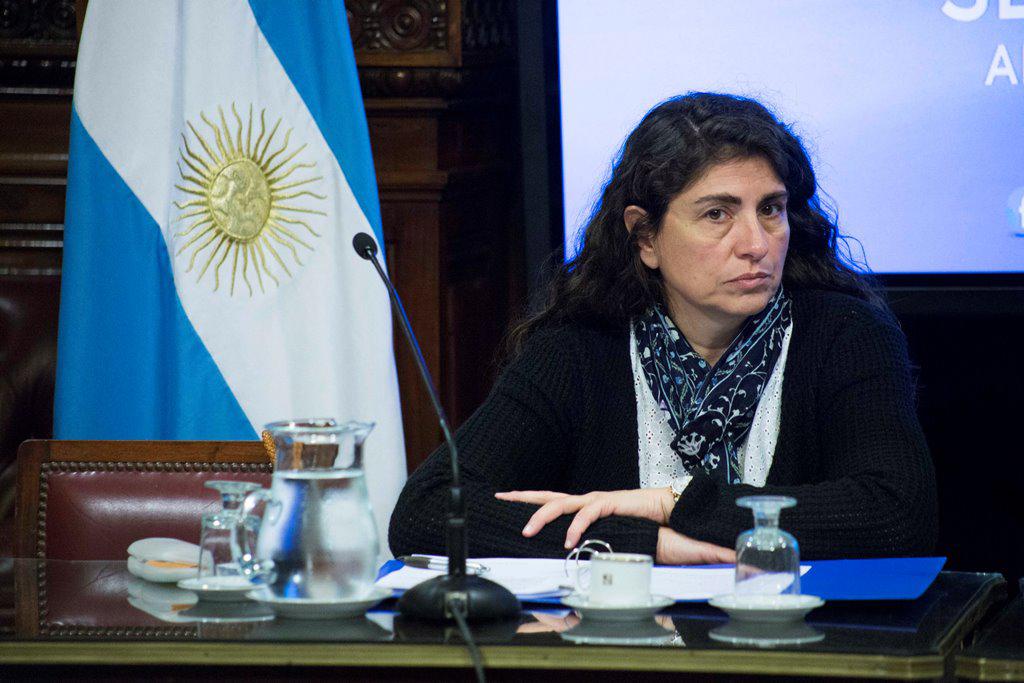 La Senadora Ana Ianni Cruzó Al Ministro Lammens Por Sus Declaraciones