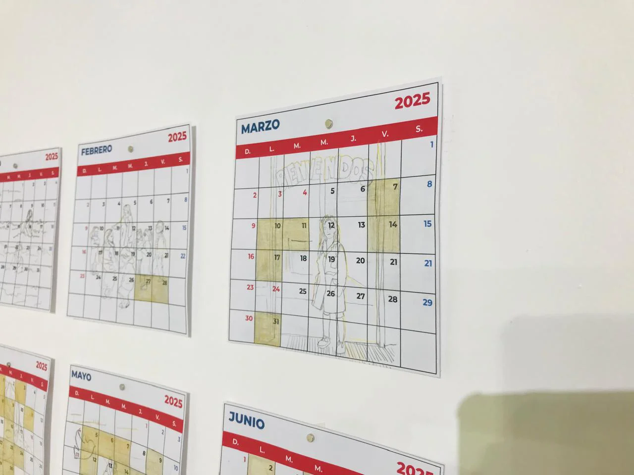 WhatsApp Image 2026-03-07 at 15.18.41(1)