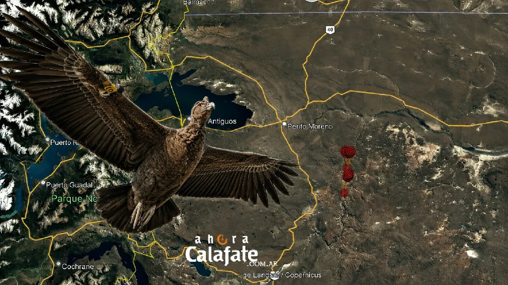 wallaq y mapa1~1