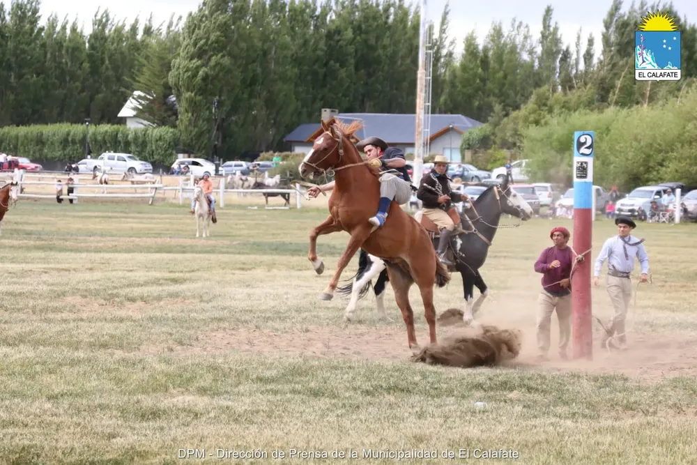 multimedia.grande.b83672224041b626.NDI1NjI0MzUxXzc5MTIyODI5OTcxNjc3NV80MTQ3ODBfZ3JhbmRlLndlYnA=