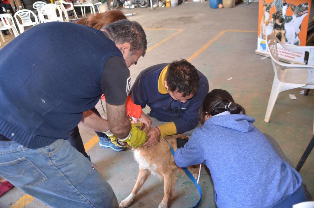 4b511d6b-79c6-4424-ad70-cd18acc8d7d9