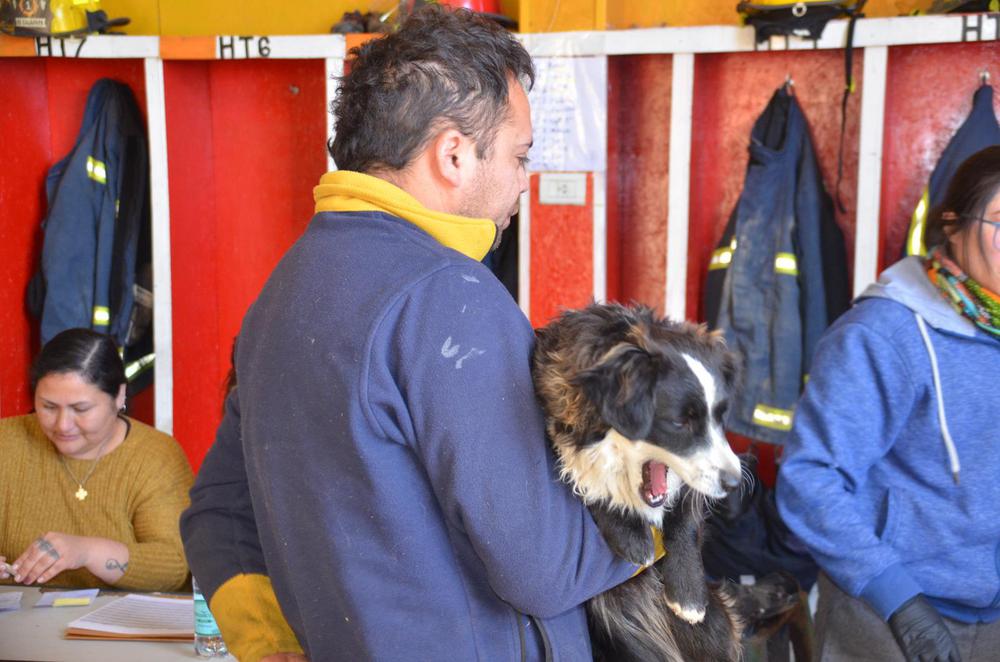 5afa4747-a15a-4293-9b7f-792e25550801