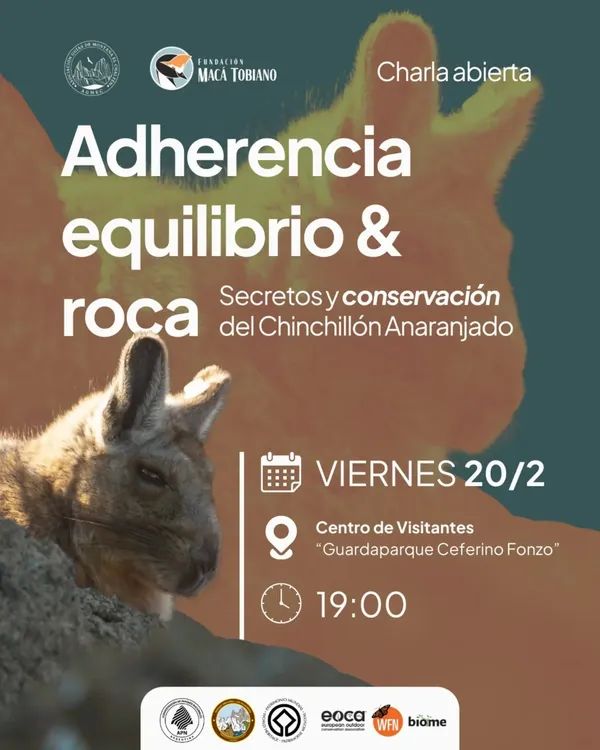 636895593_18098179478505372_4063076613718668232_n