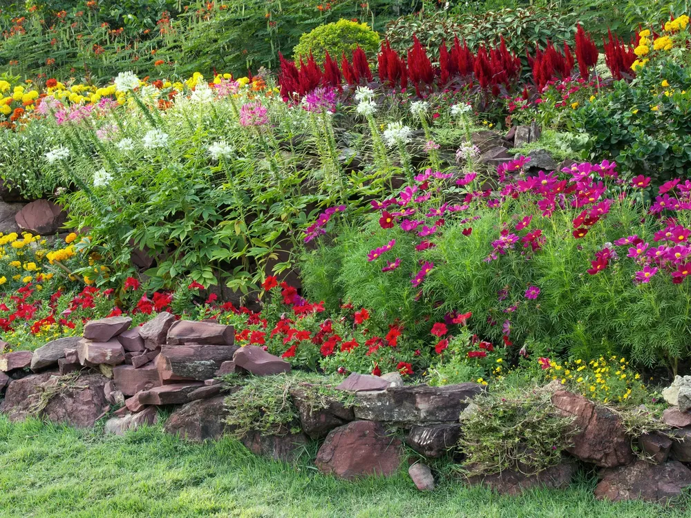 Jardin1