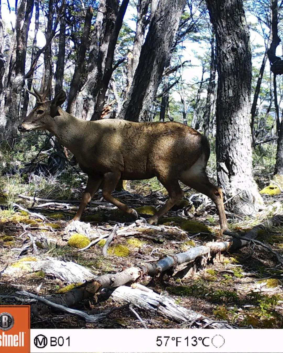 653952833_1254203850186766_69634552480754085_n